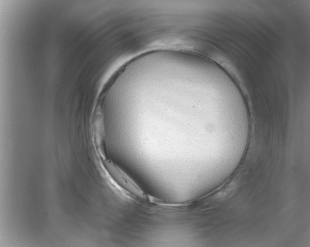 X0000078021344200611171903