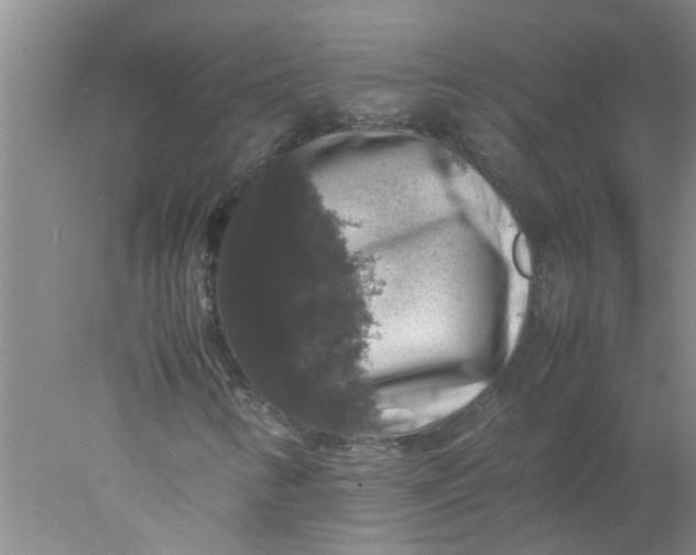 X0000078021346200611171902