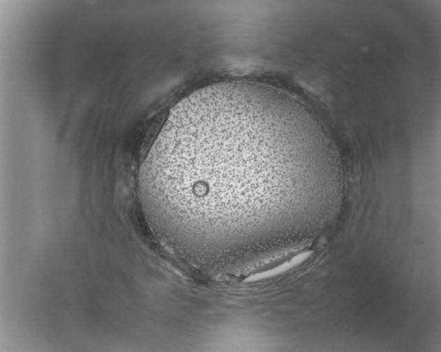 X0000078021349200611171902