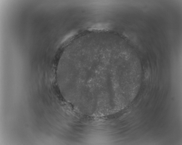 X0000078021350200611171902