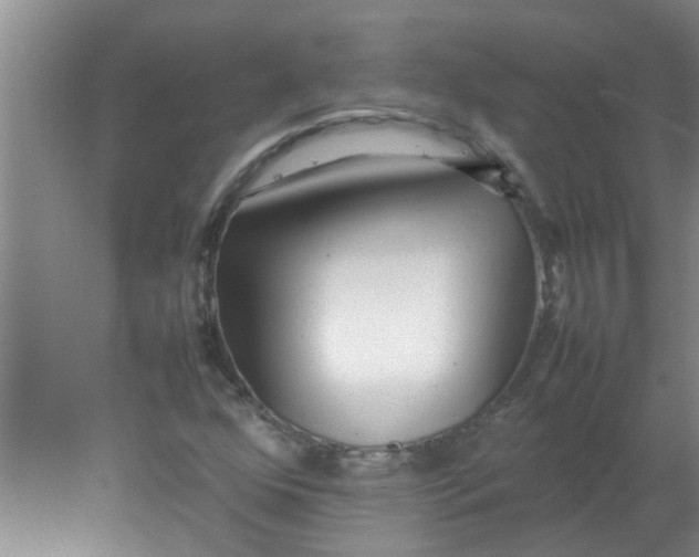 X0000078021352200611171902