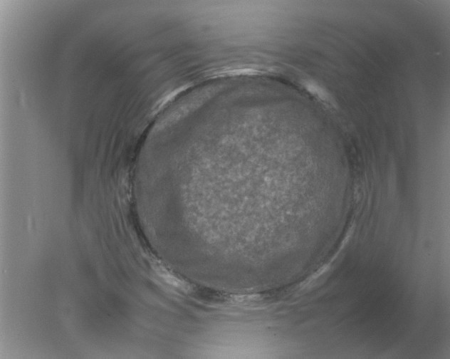 X0000078021353200611171902