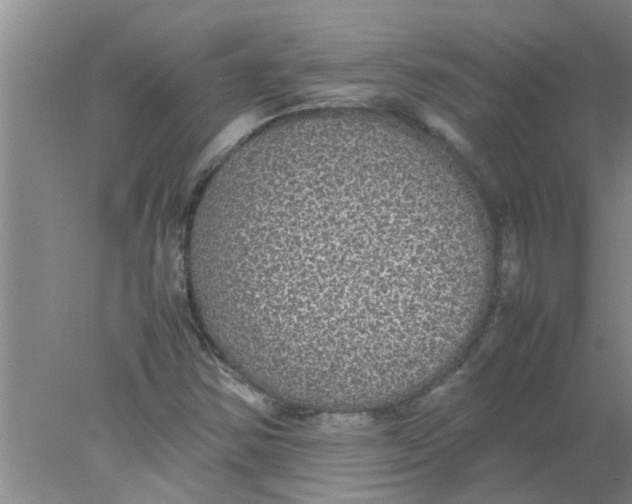 X0000078021354200611171902