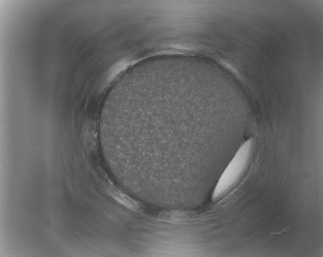 X0000078021355200611171902