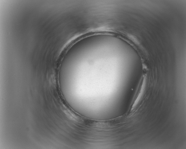 X0000078021356200611171902