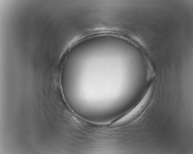 X0000078021357200611171902