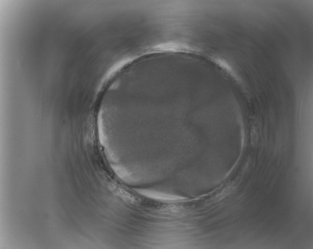 X0000078021358200611171902