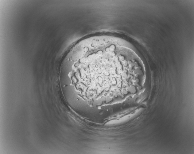 X0000078021359200611171902