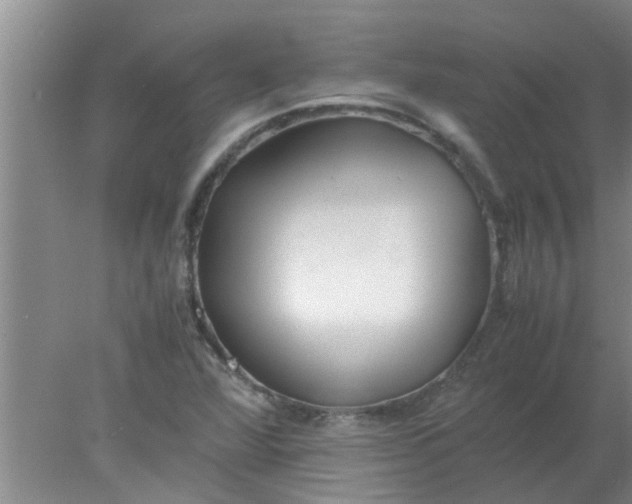 X0000078021360200611171902