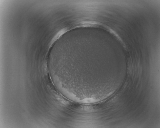 X0000078021362200611171902