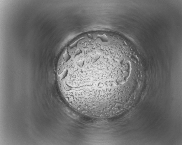 X0000078021363200611171902