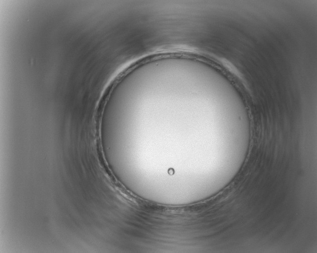 X0000078021364200611171902