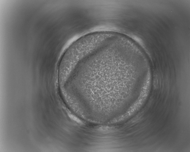 X0000078021366200611171902