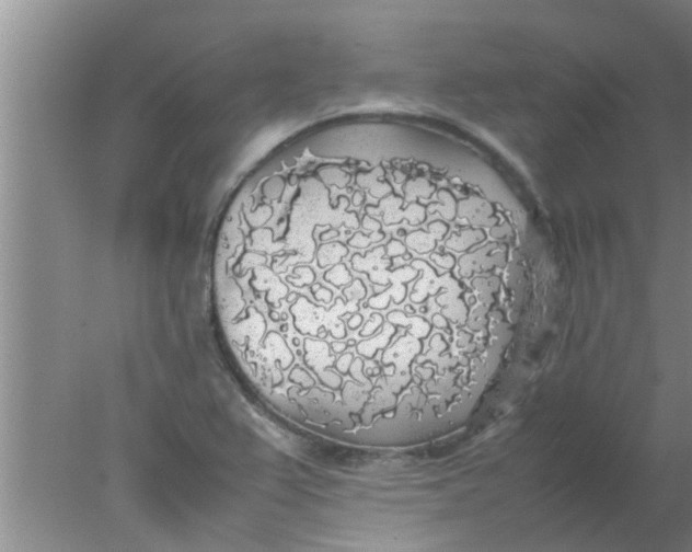 X0000078021367200611171902