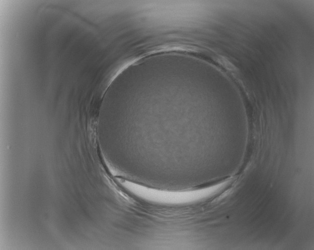 X0000078021369200611171902