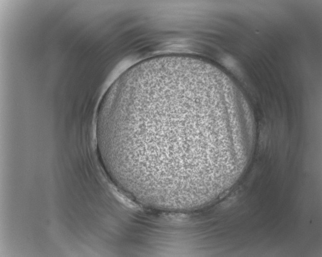 X0000078021370200611171902