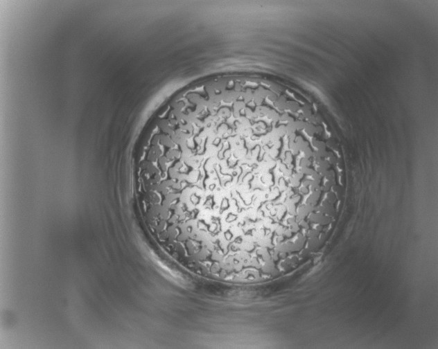 X0000078021371200611171902