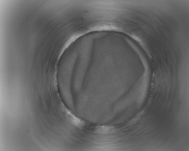 X0000078021374200611171902