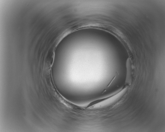 X0000078021377200611171902