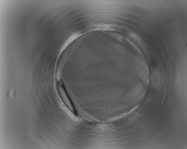 X0000078021378200611171902