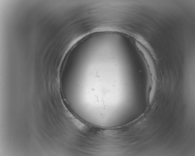 X0000078021380200611171902