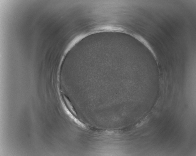 X0000078021381200611171902