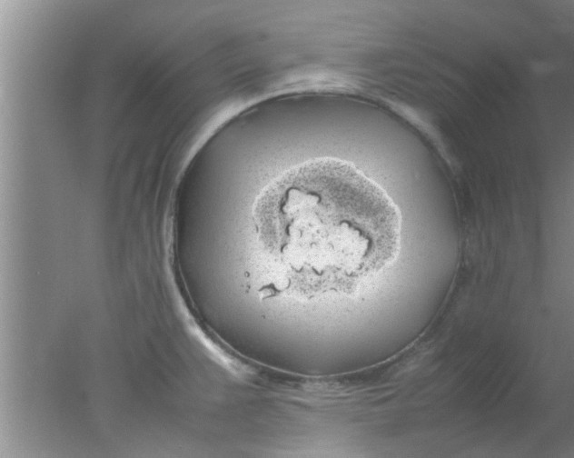 X0000078021383200611171901