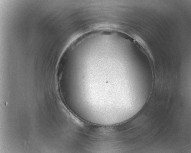 X0000078021384200611171901