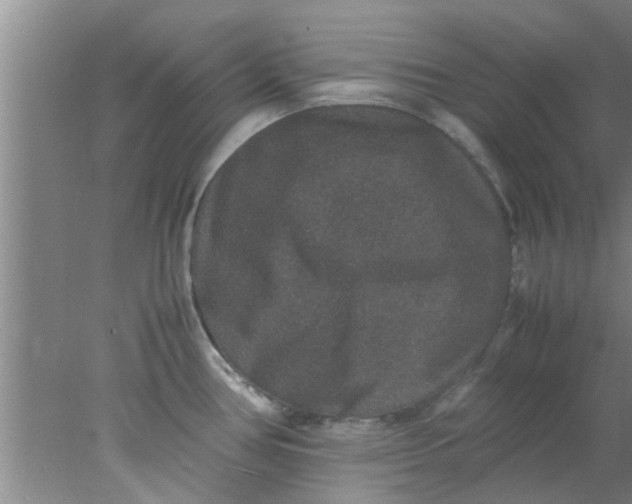 X0000078021386200611171901