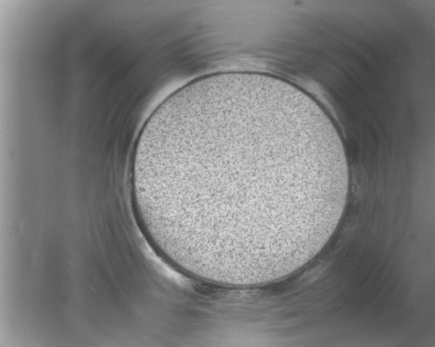 X0000078021387200611171901