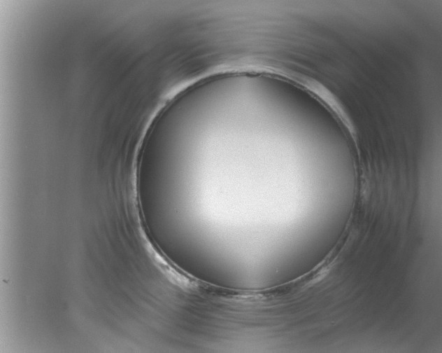 X0000078021388200611171901