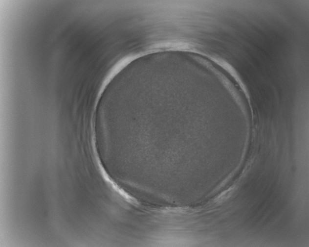 X0000078021389200611171901