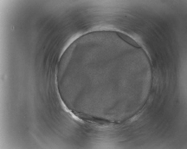 X0000078021390200611171901