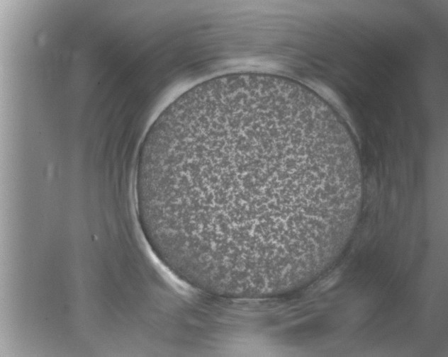 X0000078021391200611171901