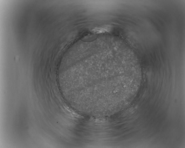 X0000078021393200611171901