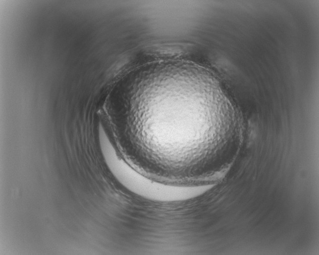 X0000078021394200611171901