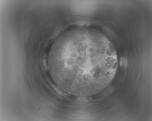 X0000078021396200611171901