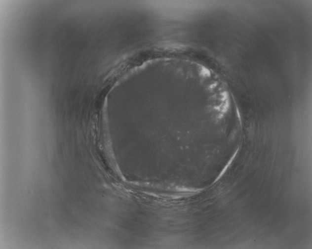 X0000078021397200611171901