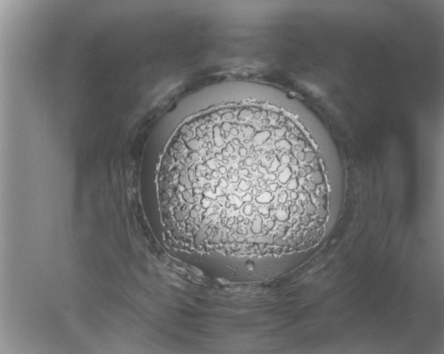 X0000078021399200611171901