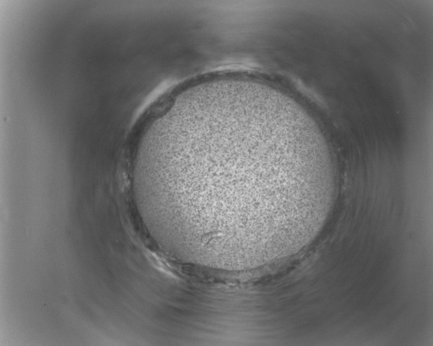 X0000078021400200611171901