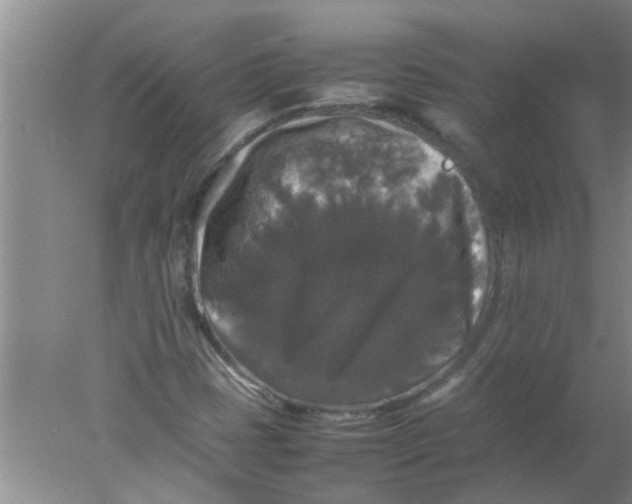 X0000078021401200611171901