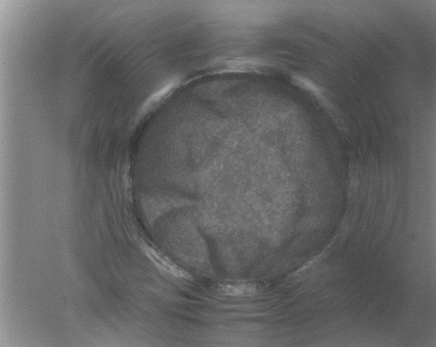 X0000078021403200611171901