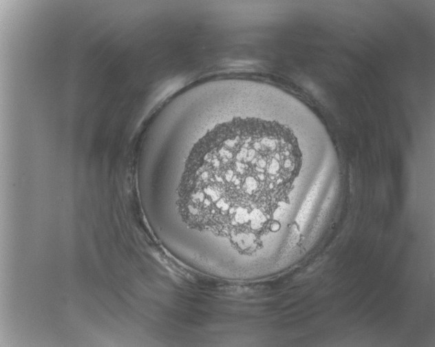 X0000078021405200611171901