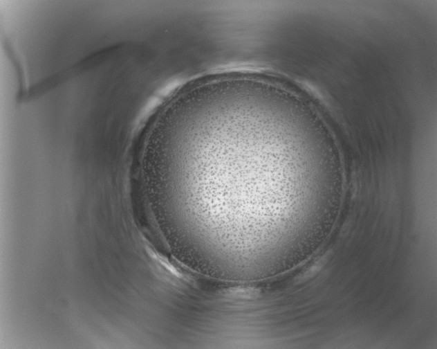 X0000078021406200611171901