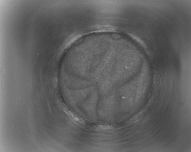 X0000078021407200611171901