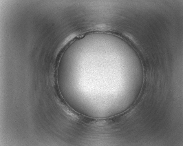 X0000078021410200611171901