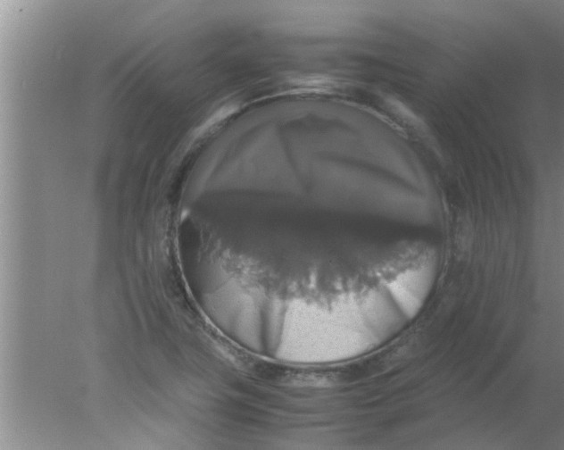 X0000078021411200611171901