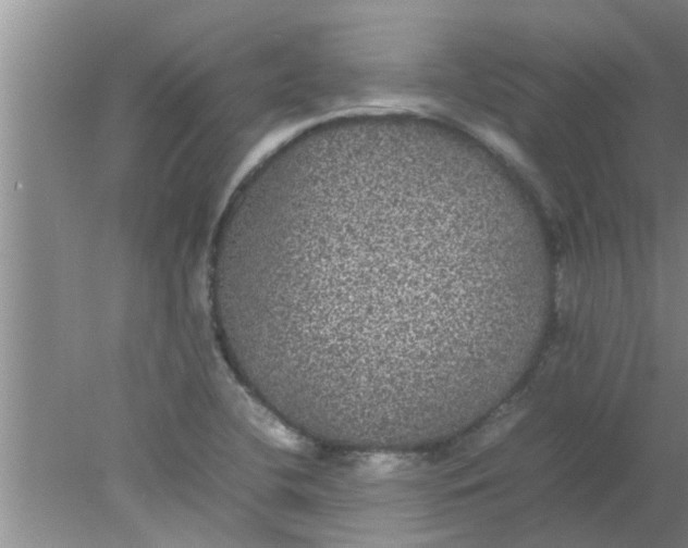 X0000078021412200611171901