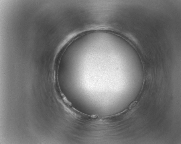 X0000078021414200611171901