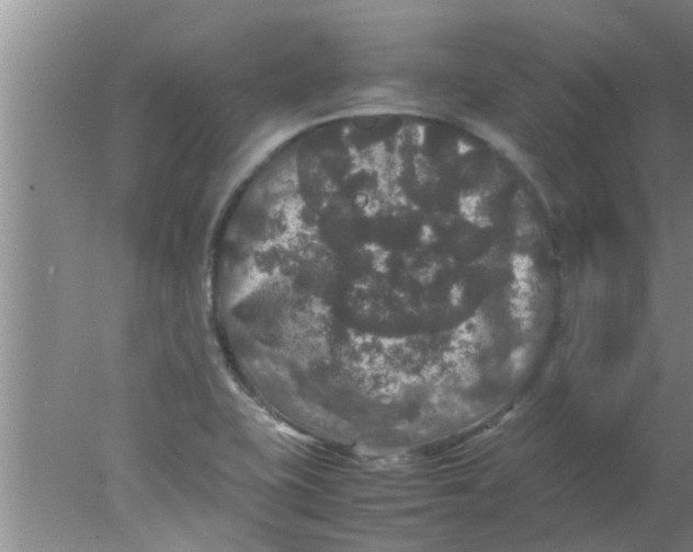 X0000078021415200611171901